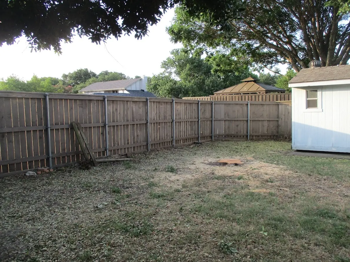 Cleared yard after professional tree removal in Cutten